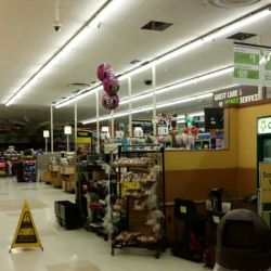 Kroger ico