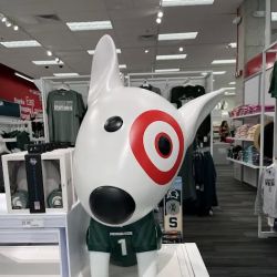 Target ico