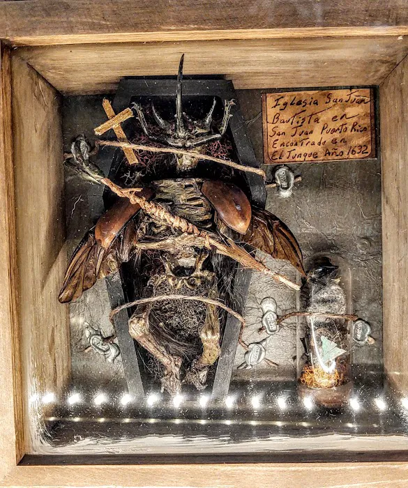 Voodoo's World of Oddtiques 8
