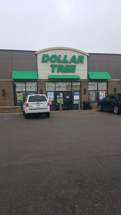 Dollar Tree 6