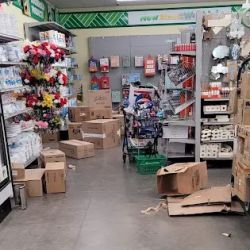 Dollar Tree ico