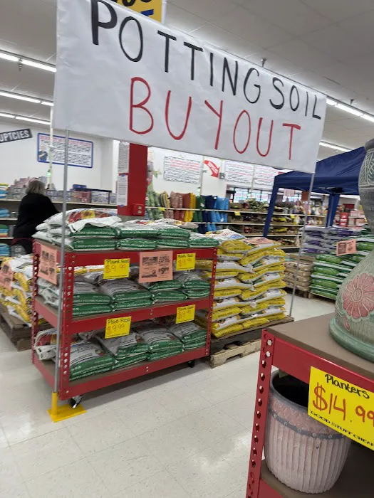 Ollie's Bargain Outlet 0