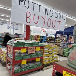 Ollie's Bargain Outlet ico