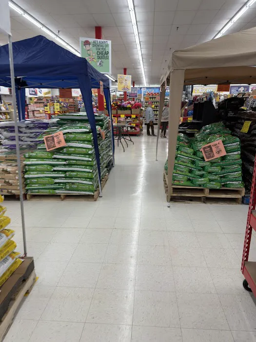 Ollie's Bargain Outlet 6
