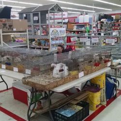 Tractor Supply Co. ico