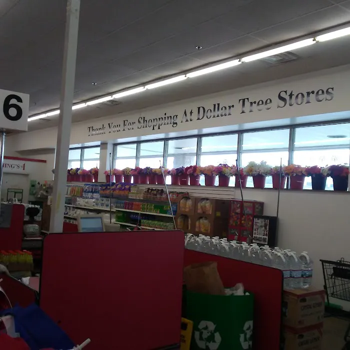 Dollar Tree 0