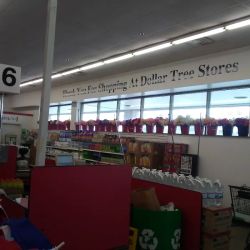 Dollar Tree ico