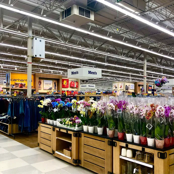 Meijer 5