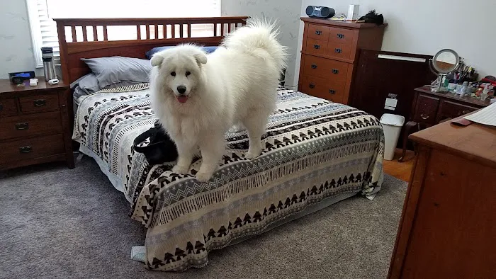 Petco 0