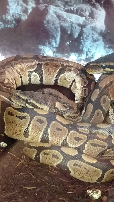Petco 1