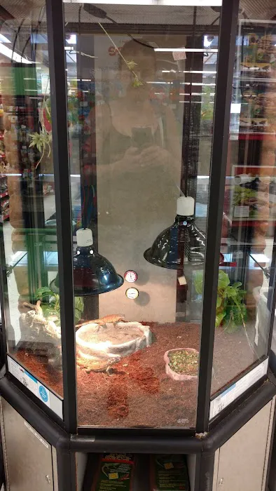 Petco 2