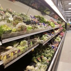 Meijer ico