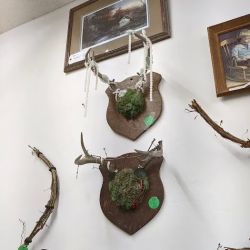Bishop Holistic - at Sanford Antique mall ico