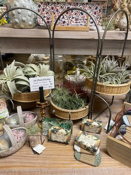 Botanica Modern Market 9