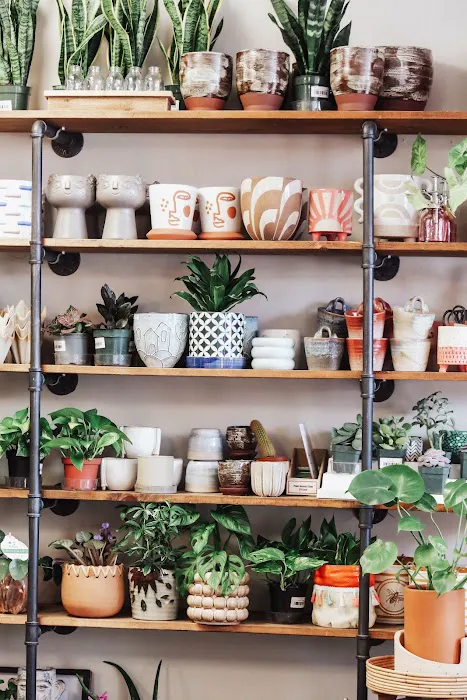Botanica Modern Market 8