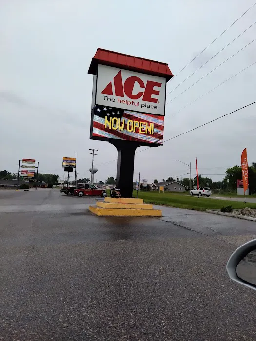 Big Rapids Ace Hardware 3