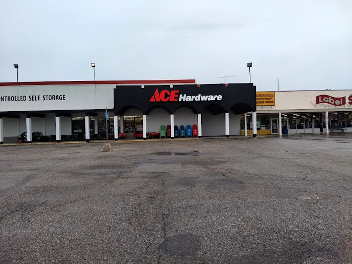 Big Rapids Ace Hardware 1
