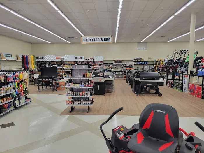 Big Rapids Ace Hardware 0