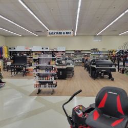 Big Rapids Ace Hardware ico