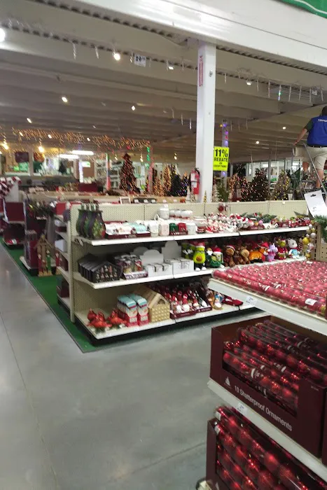 Menards 1