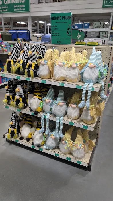 Menards 5