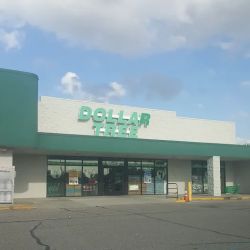 Dollar Tree ico
