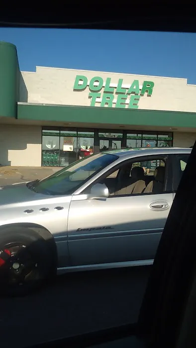 Dollar Tree 7