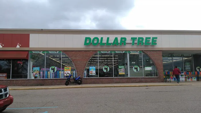 Dollar Tree 5