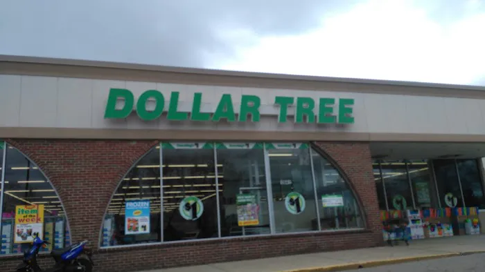 Dollar Tree 1