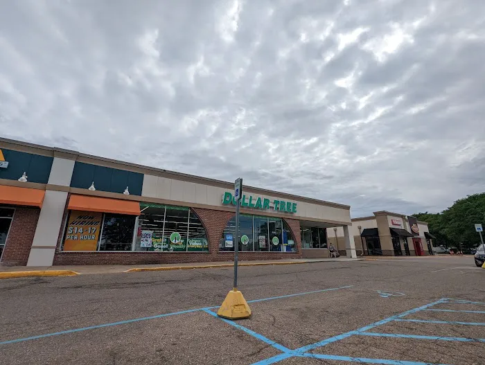Dollar Tree 9