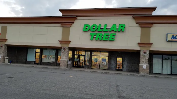 Dollar Tree 7
