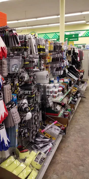 Dollar Tree 1
