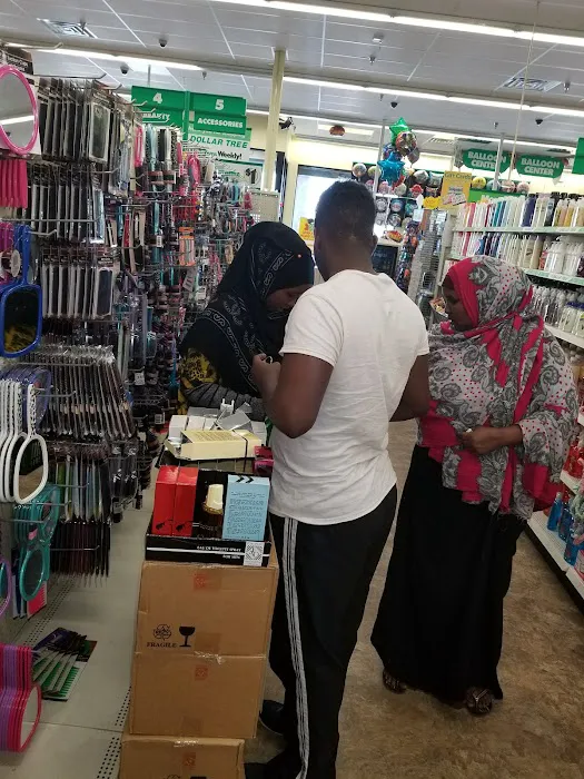 Dollar Tree 0
