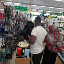 Dollar Tree ico