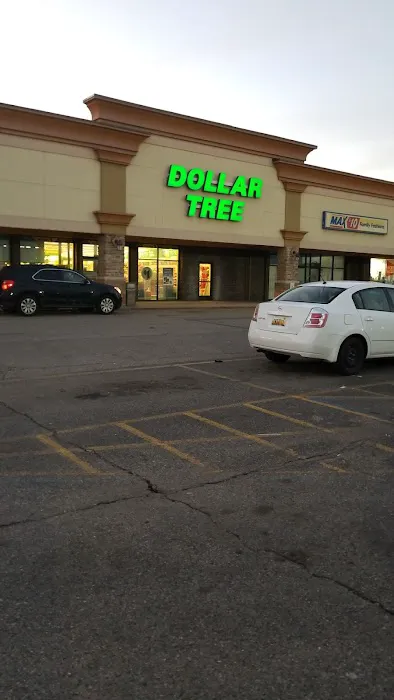 Dollar Tree 5