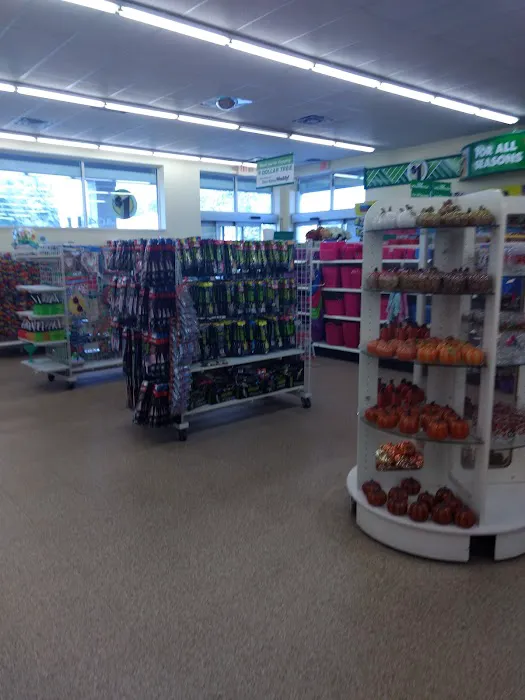 Dollar Tree 0