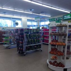Dollar Tree ico
