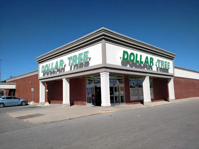 Dollar Tree 8