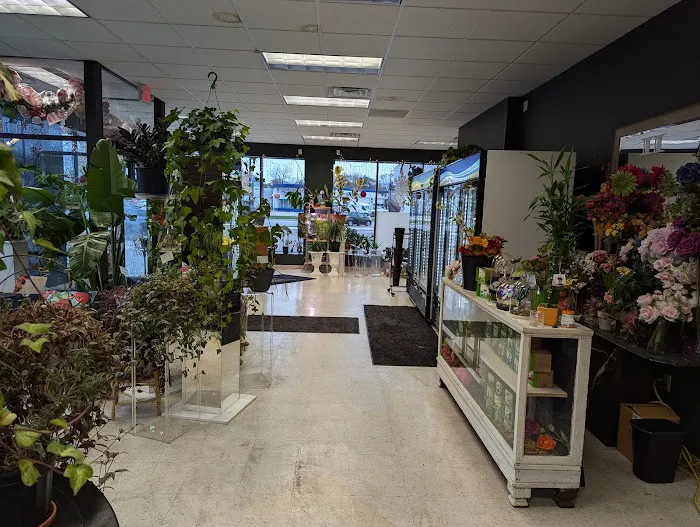 Hannah's Flowers & Floral Preservation 0