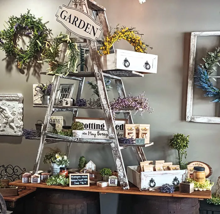 VINTAGE VINE CO 4