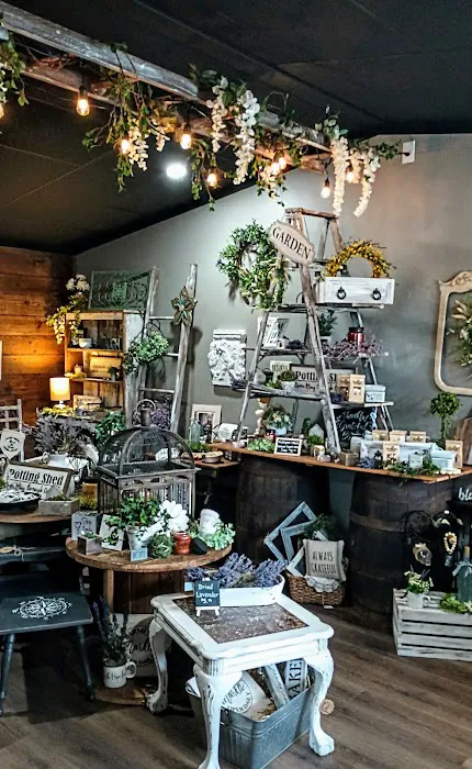 VINTAGE VINE CO 5