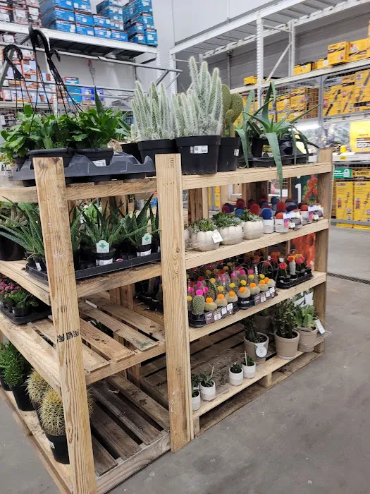 The Home Depot 6