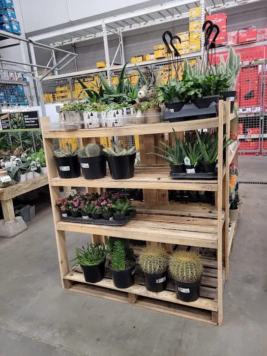 The Home Depot 5