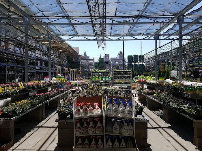 The Home Depot 9