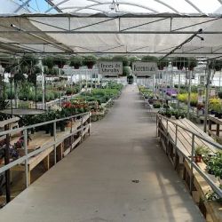 Van Atta's Greenhouse & Flower Shop ico