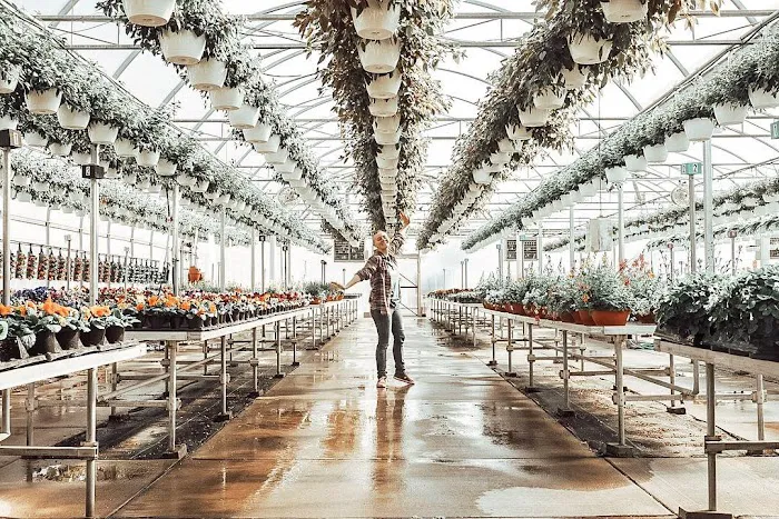 Van Atta's Greenhouse & Flower Shop 6