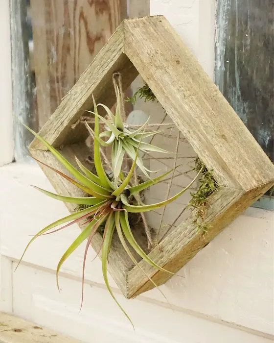 Van Atta's Greenhouse & Flower Shop 8