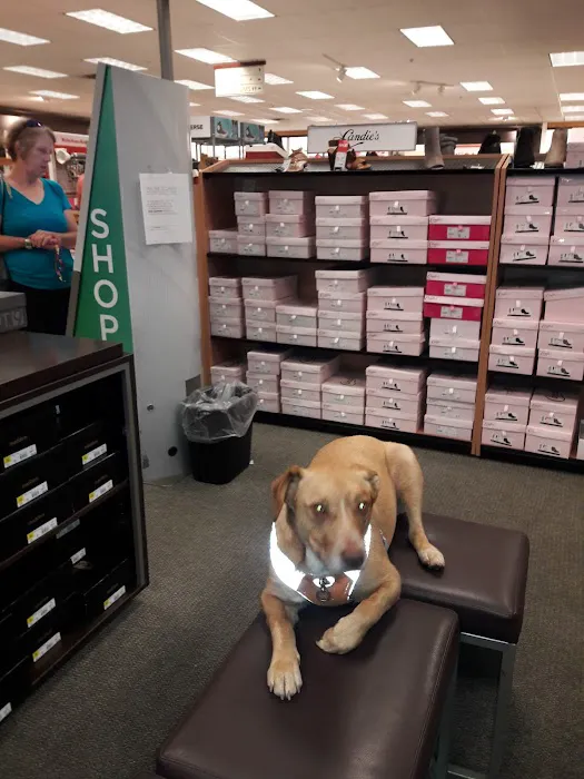 Kohl's 1