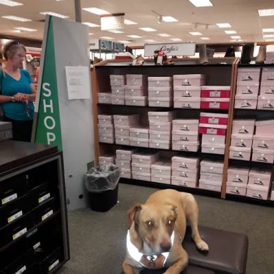 Kohl's