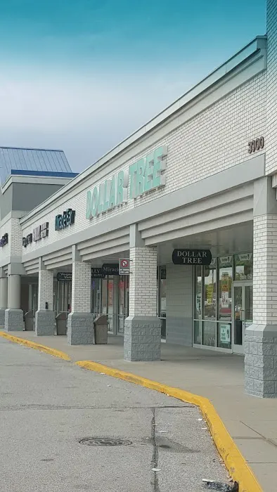 Dollar Tree 8